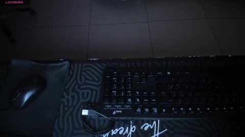  Donna Stonne  online show from 09-28-25, 11:43