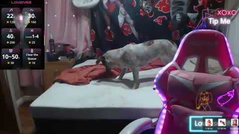 Angelic Angel Donny online show from 12-21-25, 12:07