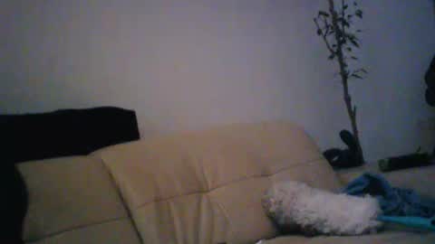 donosus online show from 01-18-26, 01:31