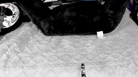 Snapshot of doomednympho chatting on 03-04-25, 05:56 DOOM online show from 03-04-25, 05:56