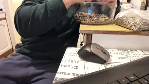 Snapshot of doriancretu95 chatting on 01-01-25, 12:00 menu below online show from 01-01-25, 12:00