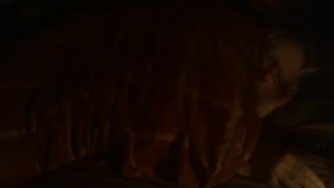 Hello  welcome to Slutsville  I am the Naked Chef  really  but you may call me Peter online show from 12-25-24, 09:33