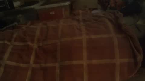 Hello  welcome to Slutsville  I am the Naked Chef  really  but you may call me Peter online show from 12-29-24, 10:01