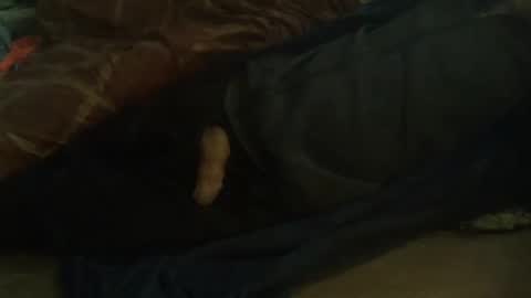 Hello  welcome to Slutsville  I am the Naked Chef  really  but you may call me Peter online show from 02-11-25, 10:04