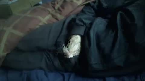 Hello  welcome to Slutsville  I am the Naked Chef  really  but you may call me Peter online show from 01-12-26, 09:58