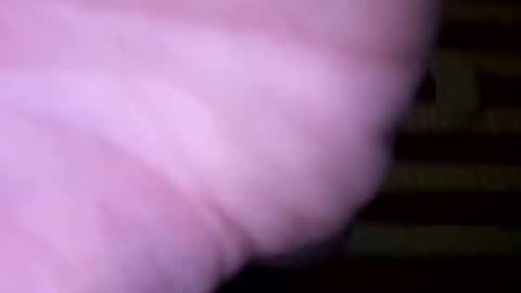Snapshot of dougiebisme chatting on 05-31-26, 01:29 dougiebisme online show from 05-31-26, 01:29