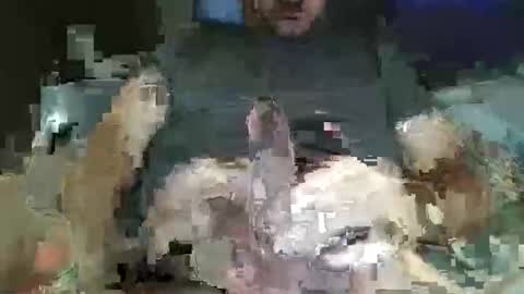 downtown831 online show from 02-26-26, 05:28