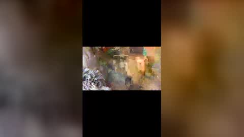 dpbbb online show from 04-05-26, 05:04