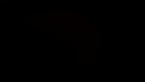 MrPirated online show from 03-08-25, 06:47