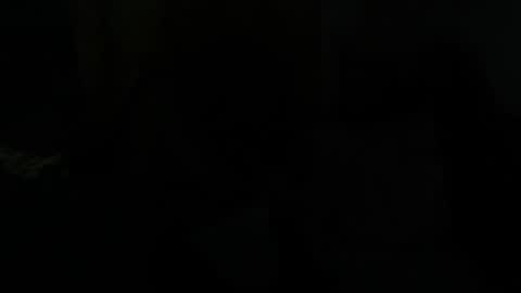 Dragon online show from 01-28-25, 07:43