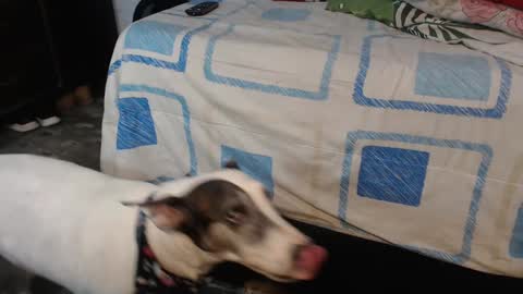 dreamreal online show from 10-12-25, 02:10