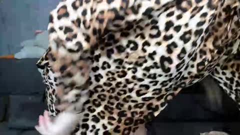 Snapshot of dreamesoul chatting on 11-07-25, 11:32 dreamesoul online show from 11-07-25, 11:32