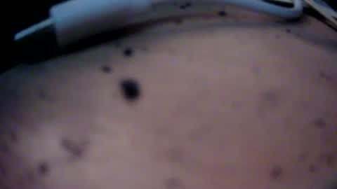 dreamy2020 online show from 01-22-25, 04:12