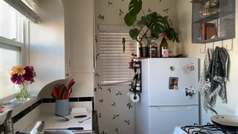 Snapshot of dreamyriri chatting on 12-18-24, 07:30 RIRI OR DREAMY online show from 12-18-24, 07:30