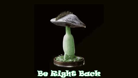 Tara  Sonny online show from 02-20-25, 11:54