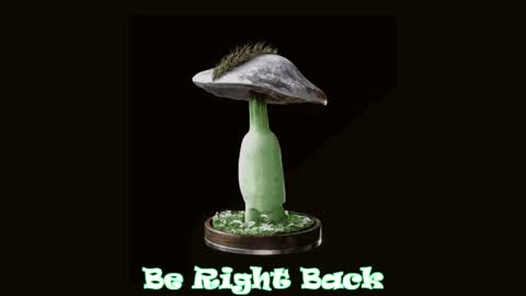 Tara  Sonny online show from 04-04-26, 05:27