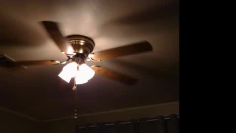 Snapshot of drippingwetfilipinapussy chatting on 11-09-25, 11:58 WetFilipinaPussy online show from 11-09-25, 11:58