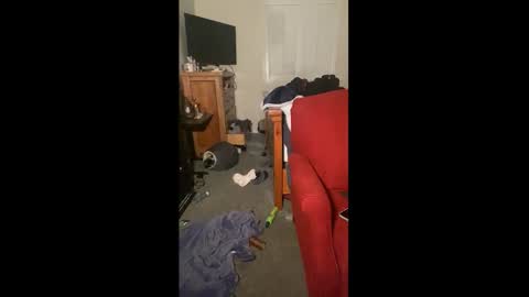 Drippy kitty  online show from 12-22-25, 09:50