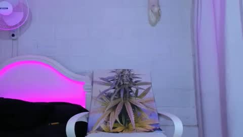 drippyorlove online show from 11-05-25, 08:31