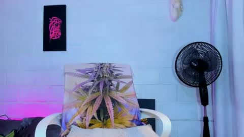 drippyorlove online show from 07-03-26, 06:36