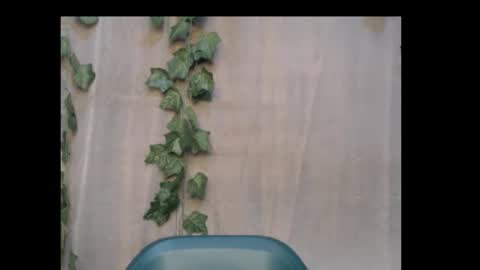 linda online show from 10-18-25, 09:59