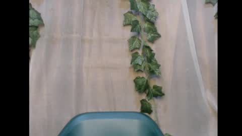 linda online show from 11-12-25, 01:50