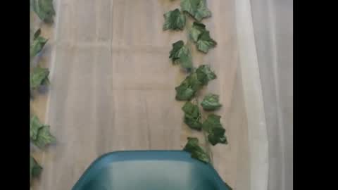 linda online show from 12-21-25, 12:18