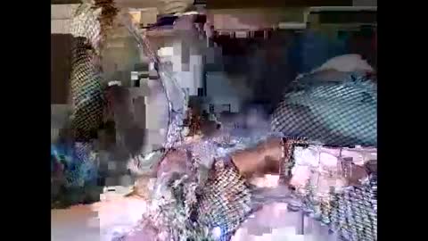 driver187 online show from 12-19-24, 07:40