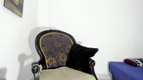 drizsx online show from 01-15-25, 09:02