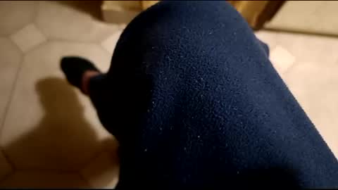 dthedog12 online show from 02-21-25, 12:27