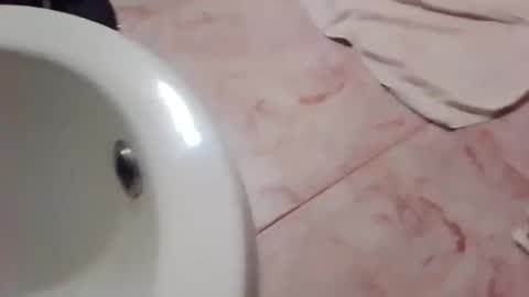 dthedog12 online show from 11-21-25, 11:58