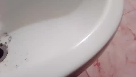 dthedog12 online show from 11-22-25, 09:36