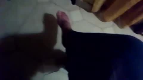 dthedog12 online show from 11-25-25, 06:41