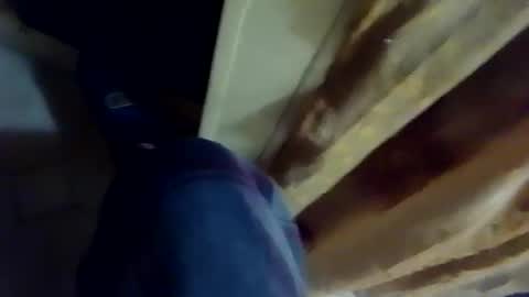 dthedog12 online show from 02-04-26, 03:12