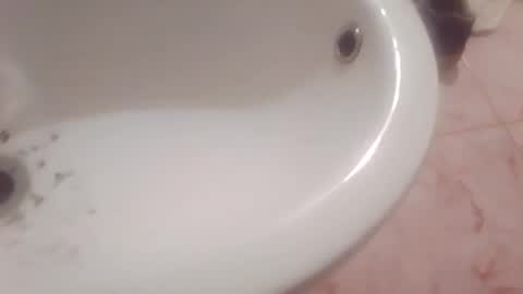 dthedog12 online show from 02-08-26, 09:40