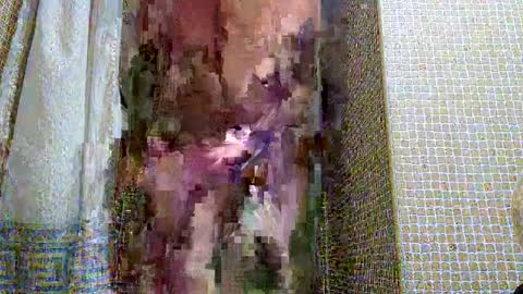 dublindub12 online show from 03-02-25, 10:03