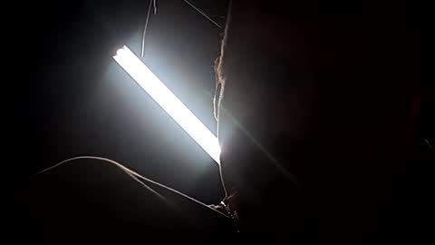 dukester36 online show from 04-24-26, 11:01