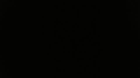 DULCE MARIA online show from 06-04-26, 04:51