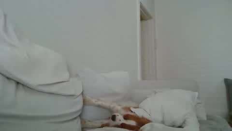 dustyroy09 online show from 02-14-25, 01:45