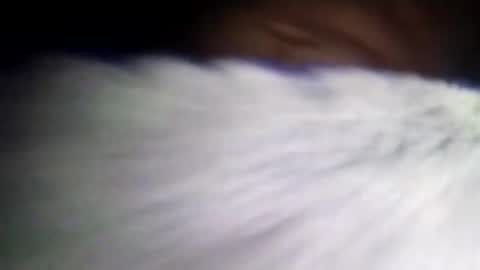 Snapshot of duvanarleyy chatting on 10-16-25, 06:36 duvanarleyy online show from 10-16-25, 06:36