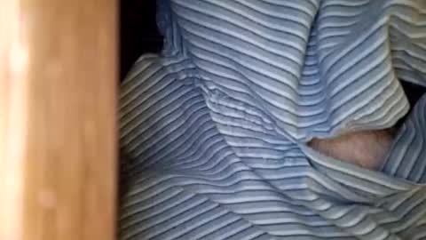 dVe1oPe online show from 01-15-26, 09:47