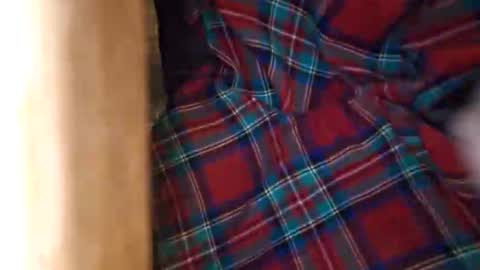 dVe1oPe online show from 03-21-26, 09:25