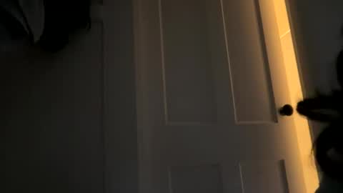 Snapshot of dynasty313 chatting on 10-14-25, 09:59 Dynasty online show from 10-14-25, 09:59