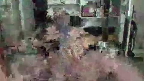 eagleye46 online show from 12-09-24, 04:47