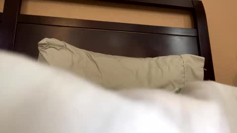 Snapshot of earl3232 chatting on 02-14-26, 09:33 earl3232 online show from 02-14-26, 09:33