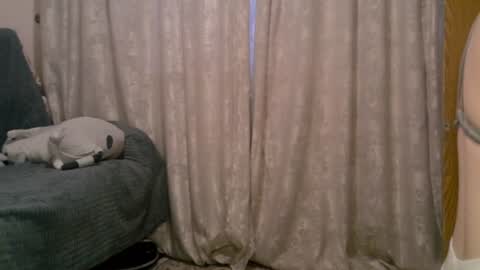 Snapshot of earn_my_lily chatting on 06-18-26, 08:25 Lily online show from 06-18-26, 08:25