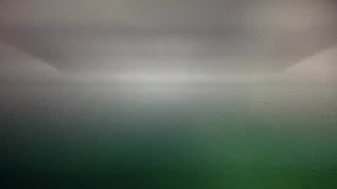 Nadia Ferreira  online show from 02-06-25, 11:48