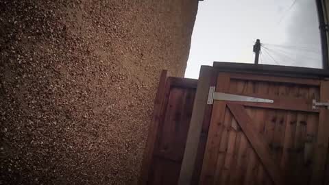 Nadia Ferreira  online show from 02-06-26, 11:24