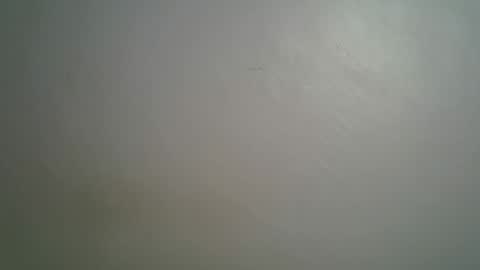 Queen online show from 03-15-26, 08:37