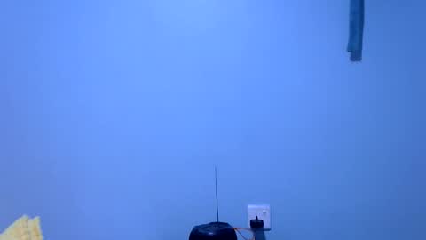 ebonybloom01 online show from 11-26-25, 05:36